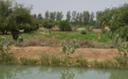 Campagne agricole 2009 - 2010 : Après la pluie…