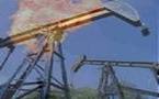 Mauritanie : Découverte du premier forage de Total dans le Nord-Est (Taoudenni)