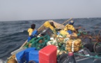 Mauritanie : expulsion d’une soixantaine d’étrangers pour pêche illégale