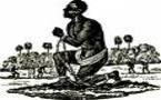 Esclave des blancs ou esclave des noirs, même combat….