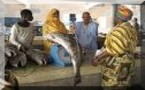 Une société sud-africaine va implanter une usine de poissons à Nouakchott