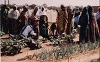 Mauritanie: Arrestation des femmes négro-mauritaniennes de Fada
