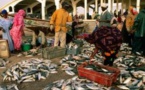 Mauritanie : un versement européen de 57,5 millions d'euros au titre de l'accord de pêche