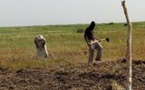 Djawlé, la face hideuse de l’esclavage d’Etat en Mauritani