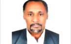 Une "Seiba" négro-africaine ?/El Wely Sidi Haiba