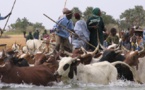 Mali : difficile cohabitation entre Peuls et Dogons au centre du pays