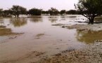 Des pluies torrentielles enregistrées jeudi font des dégâts considérables dans la wilaya du tagant centre mauritanien