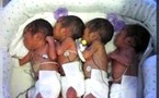 Naissance à Kaédi d’un quadruplé