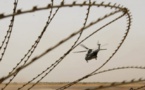 Mali : trois morts dans un attentat à la voiture piégée à Gao