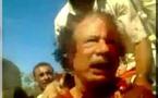 Qui a assassiné Kadhafi   (VIDEO)