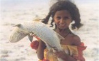 Devinettes de Nouadhbou : l' argent des Mokas a t-il une odeur ?
