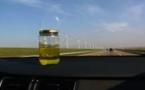 L'urine : la nouvelle source d'énergie ?