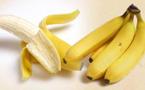 La face obscure de la banane