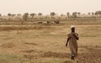 Crise alimentaire en Mauritanie : "Une situation grave face à laquelle l'état ne fait rien"