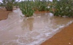 Mauritanie : de faibles précipitations dans l’est du pays