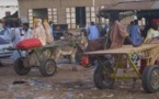 Abominable crime à Nouakchott : Un charretier tue un taximan avec son gourdin !