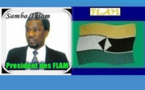 Retour de Samba Thiam et ses lieutenants : Quel rôle pour les FLAMS en Mauritanie ?