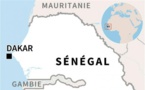 Sénégal : le camp présidentiel revendique la victoire aux législatives