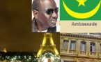 Wagne Abdoulaye Idrissa : Le diplomate susceptible de réconcilier les mauritaniens de France et d'Europe avec le Président de la République