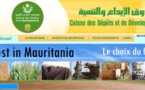 Mauritanie: un nouveau patron pour la CDD