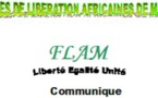 Journée anniversaire Flam du 29 mars 2015 .