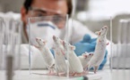 Selon cette anthropologue, les chercheurs mauritaniens étudient leur peuple comme des "rats de laboratoire..."
