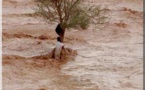 Urgent : 70 maisons effondrées à Sinthiane Diama et 13 autres à Tèkinguel (commune de Darel Barka)