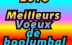 MEILLEURS VOEUX 2016 ! UNE ANNÉE SE TERMINE, UNE NOUVELLE COMMENCE
