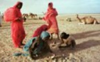 La question Harratine : La vision de Samory servie au SG de l’ONU