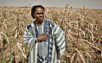 Baaba Maal, le retour d'une icône de la world