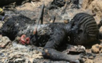 Nigeria : plus de 80 morts dont des enfants brûlés vifs dans l’indifférence générale des médias