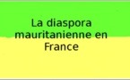 Mauritanie/Investissement : le gouvernement veut intégrer la diaspora