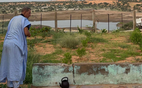 Mauritanie : la saison des pluies, l’occasion pour les citadins de renouer avec la nature