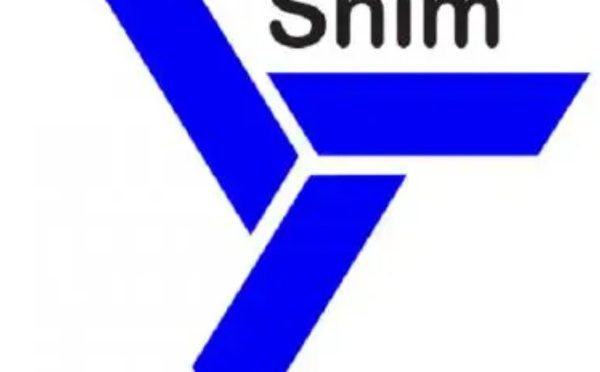 La vision de la SNIM à l’horizon 2031 : produire 45 millions de tonnes de fer annuellement
