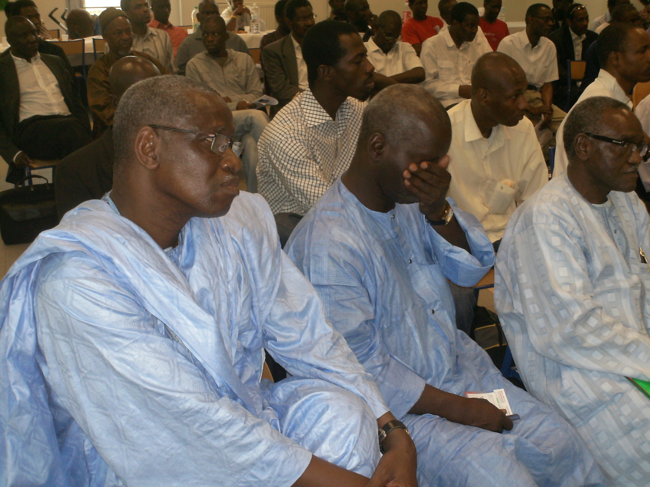 PICT0042.JPG PICT0042.JPG